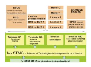 Terminale Stmg Poursuite Etudes Et Metiers Lycee Ambroise Vollard